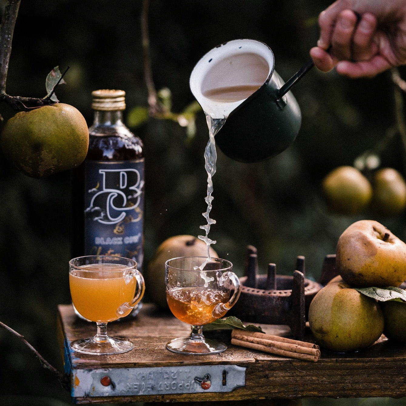 Black Cow vodka + Black Cow Christmas Spirit