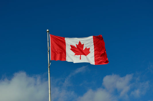 Black Cow arrives in Canada