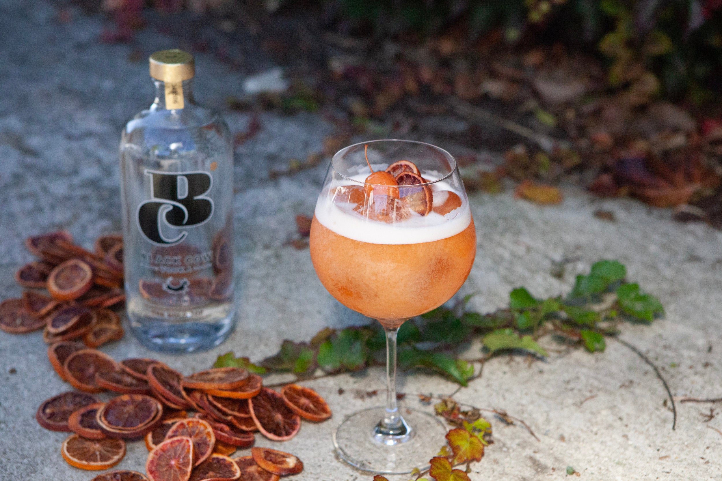 Halloween Cocktail-048.jpg